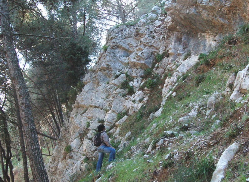 studi e rilievi geologici