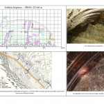 analisi geomeccanica del fronte di scavo